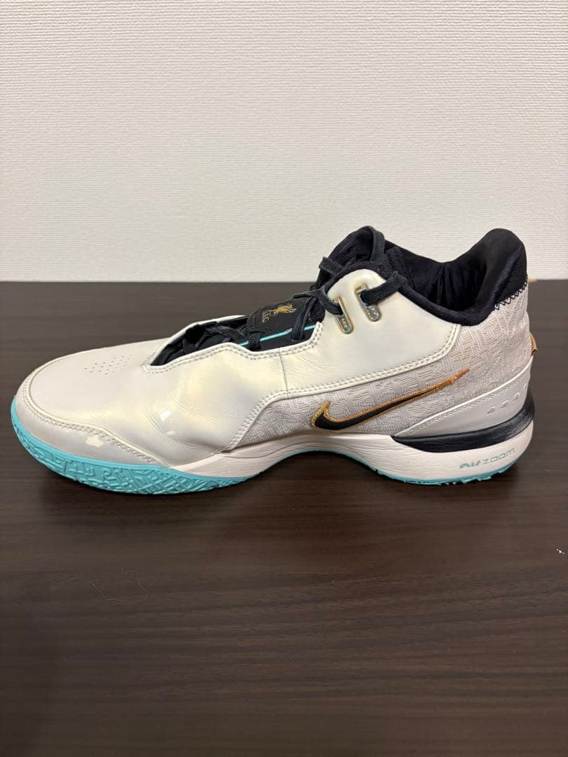 ナイキ レブロン NXXT Gen AMPD EP バスケットボールシューズ