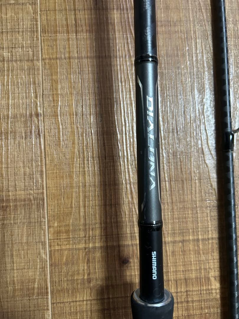 ロッド SHIMANO DIALUNA S100M