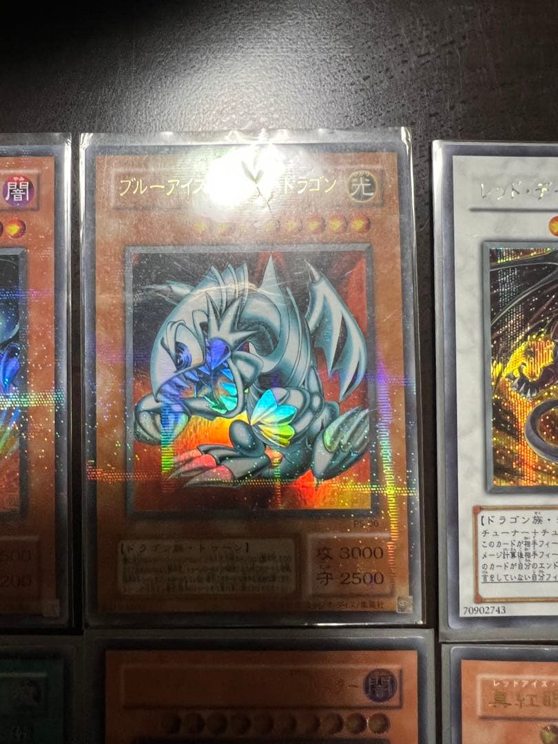 遊戯王 真紅眼の闇竜レリーフ　とその他らレリーフとパラ