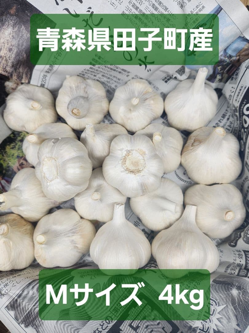 青森県田子町産 にんにく Mサイズ 4kg