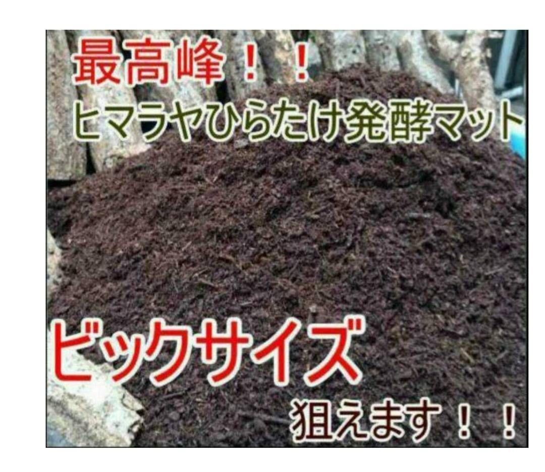 カブトムシ幼虫が大きくなる！栄養価抜群の発酵マット【60リットル】チャック付袋