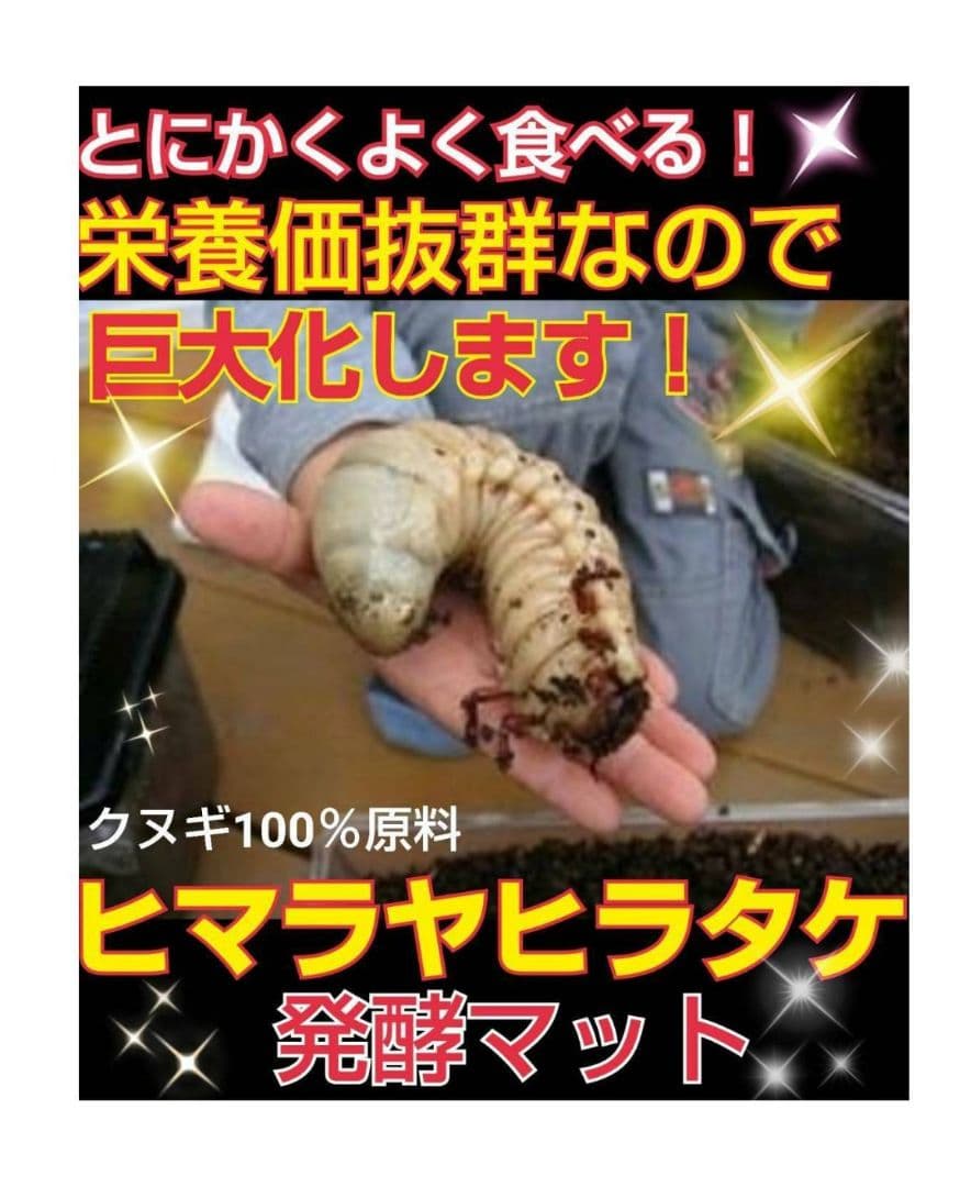 カブトムシ幼虫が大きくなる！栄養価抜群の発酵マット【60リットル】チャック付袋