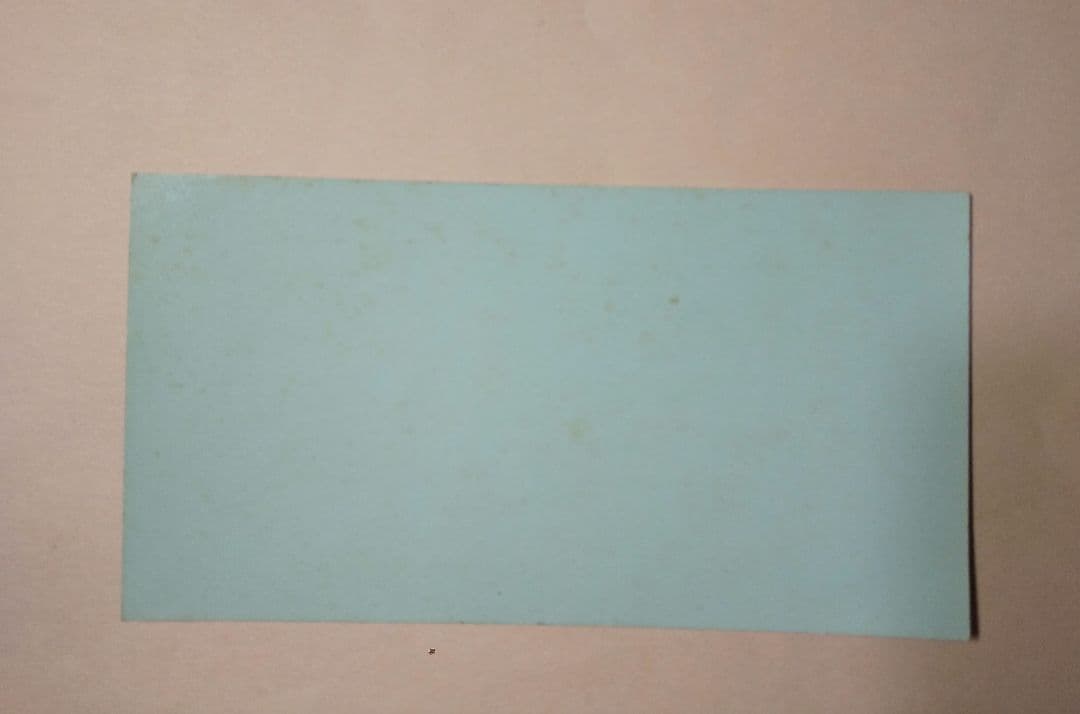 ジグソーパズル1000ピース　マジックザギャザリング生き残れなかったものたち