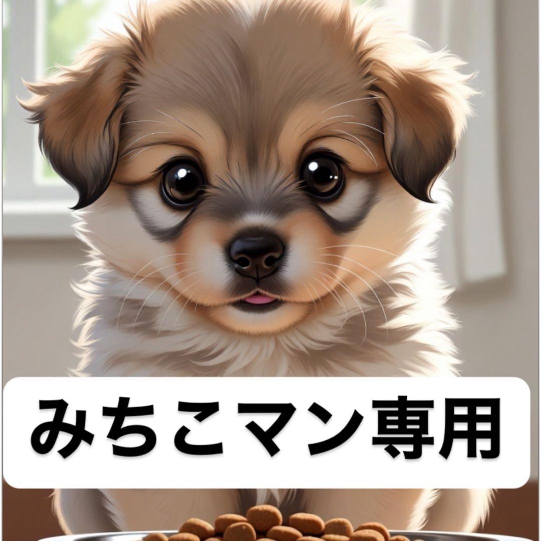 みちこマンさん専用