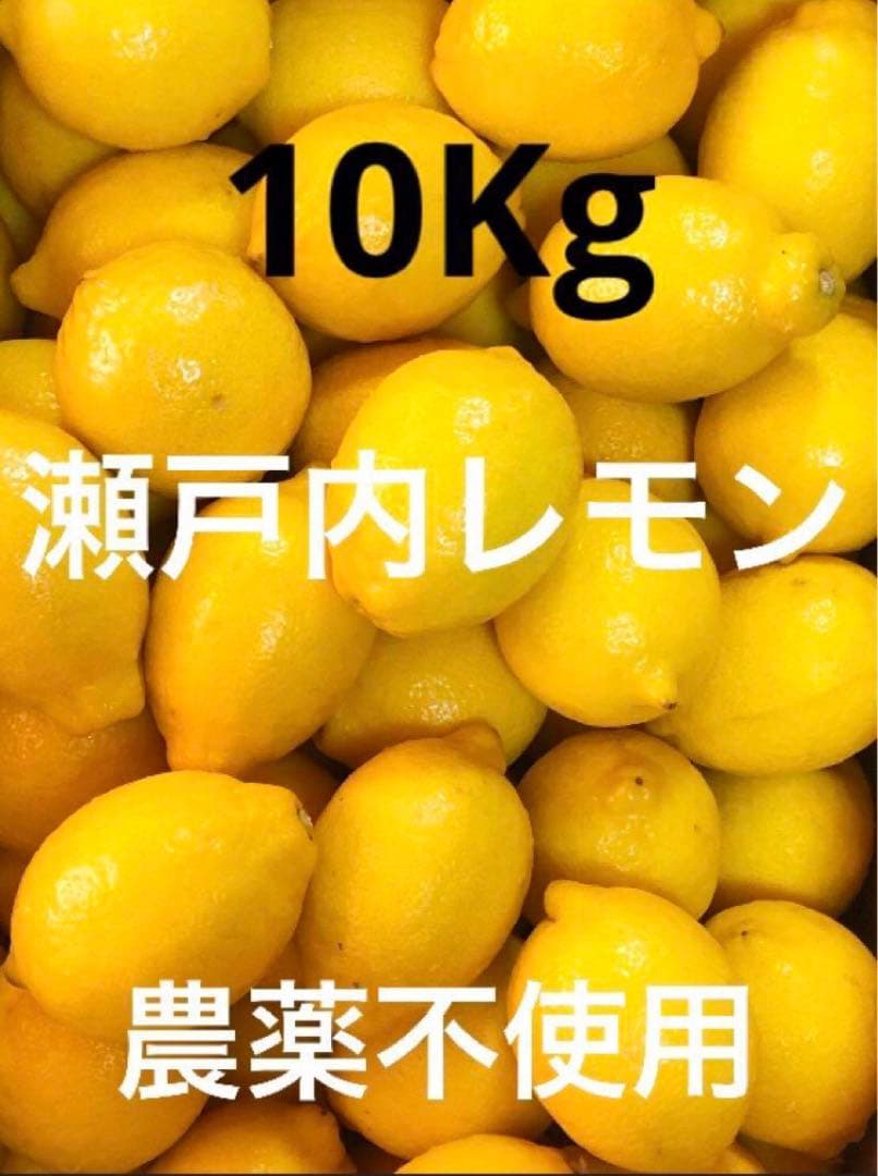 Ⅲ国産瀬戸内レモン10Kg