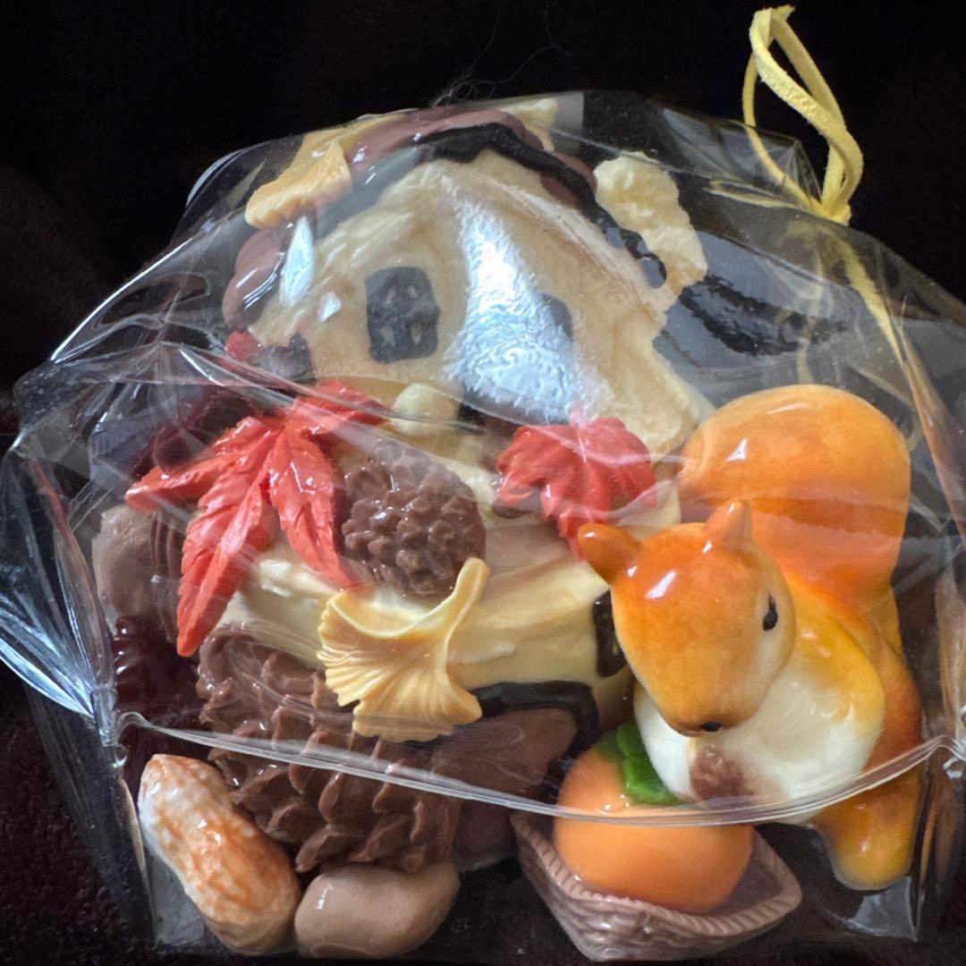 大きなリスのお家