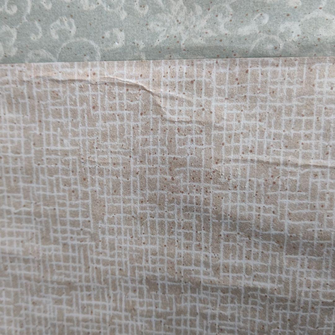 クワガタ図 掛軸 大須賀喬