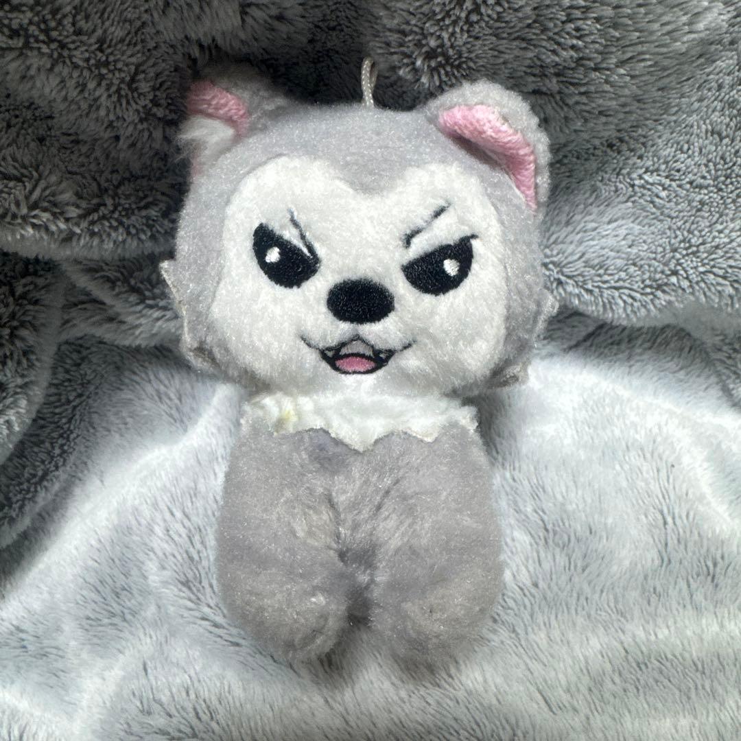 シューヤ 生誕 しゅがる マスコット