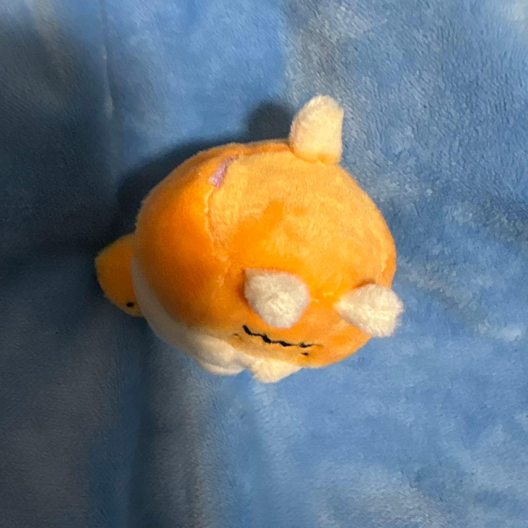 激レア　すみっコぐらし　てのりぬいぐるみ　ハロウィン　受注　2016 ねこ