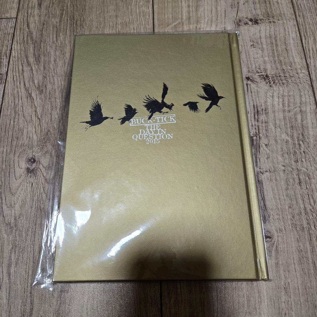 ミュージシャン THE DAY IN QUESTION 2015