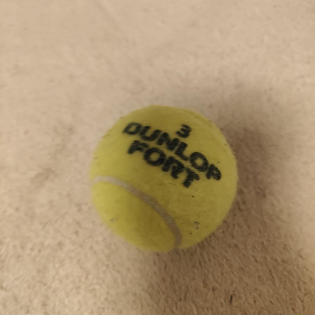 DUNLOP FORT テニスボール 3個入り