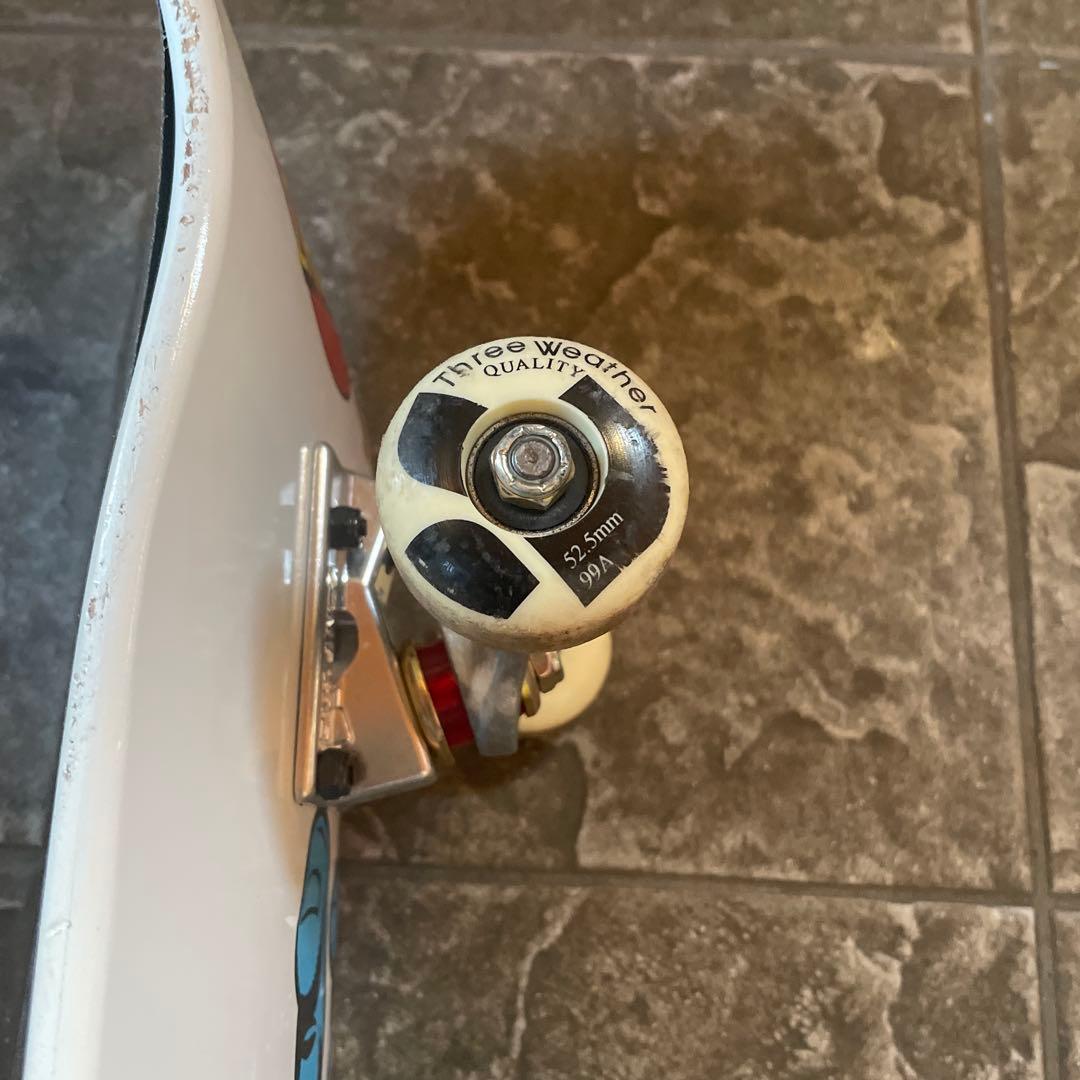 sainta cruz スケボー