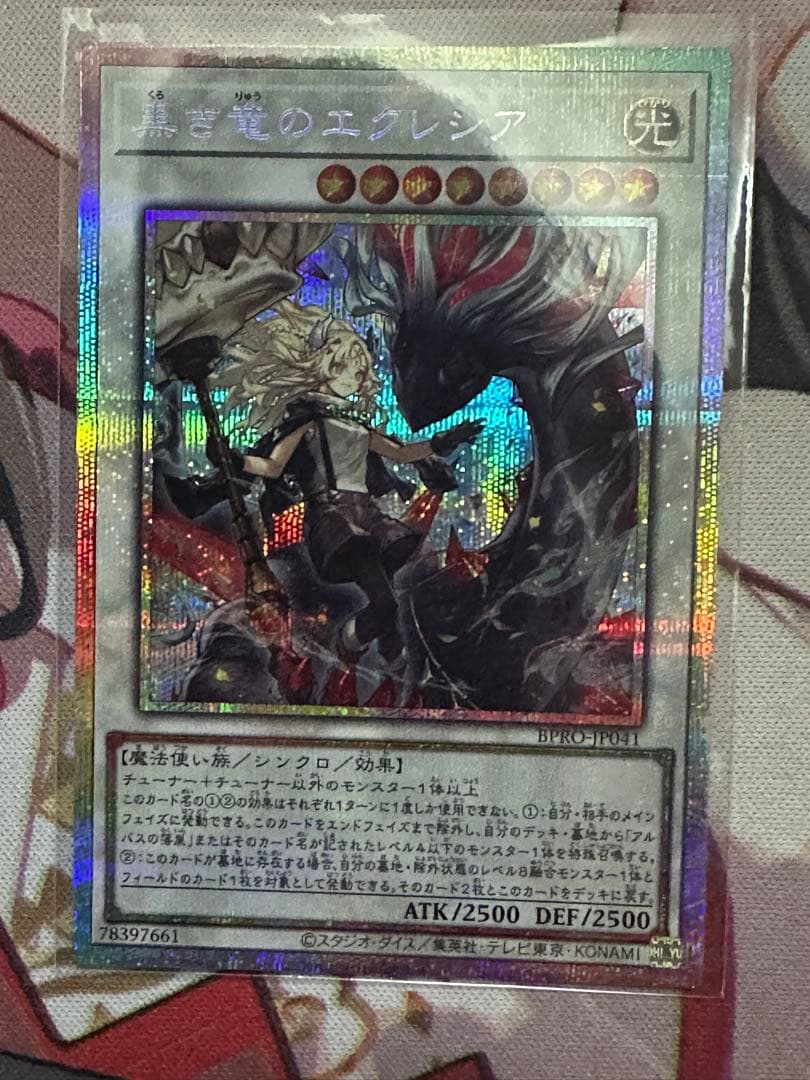 黒き竜のエクレシア プリシク