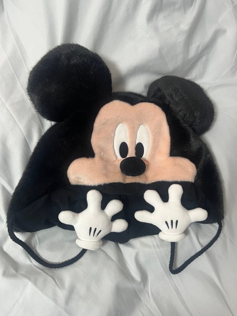 ミッキーマウス ディズニーファン