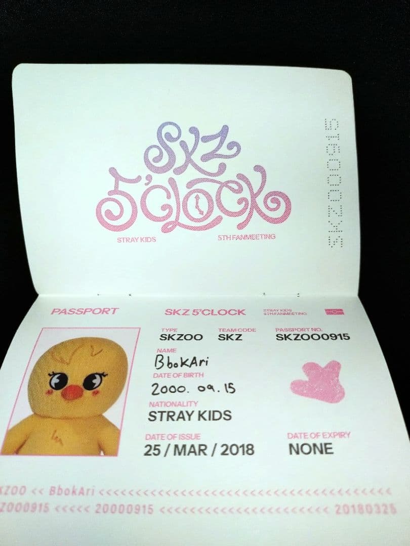 straykids テディ　Felix