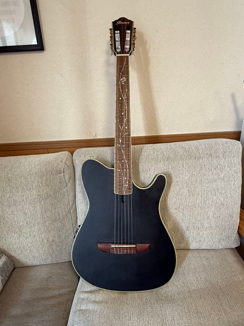 Ibanez TOD10N ナイロン弦 Tim Hensonモデル