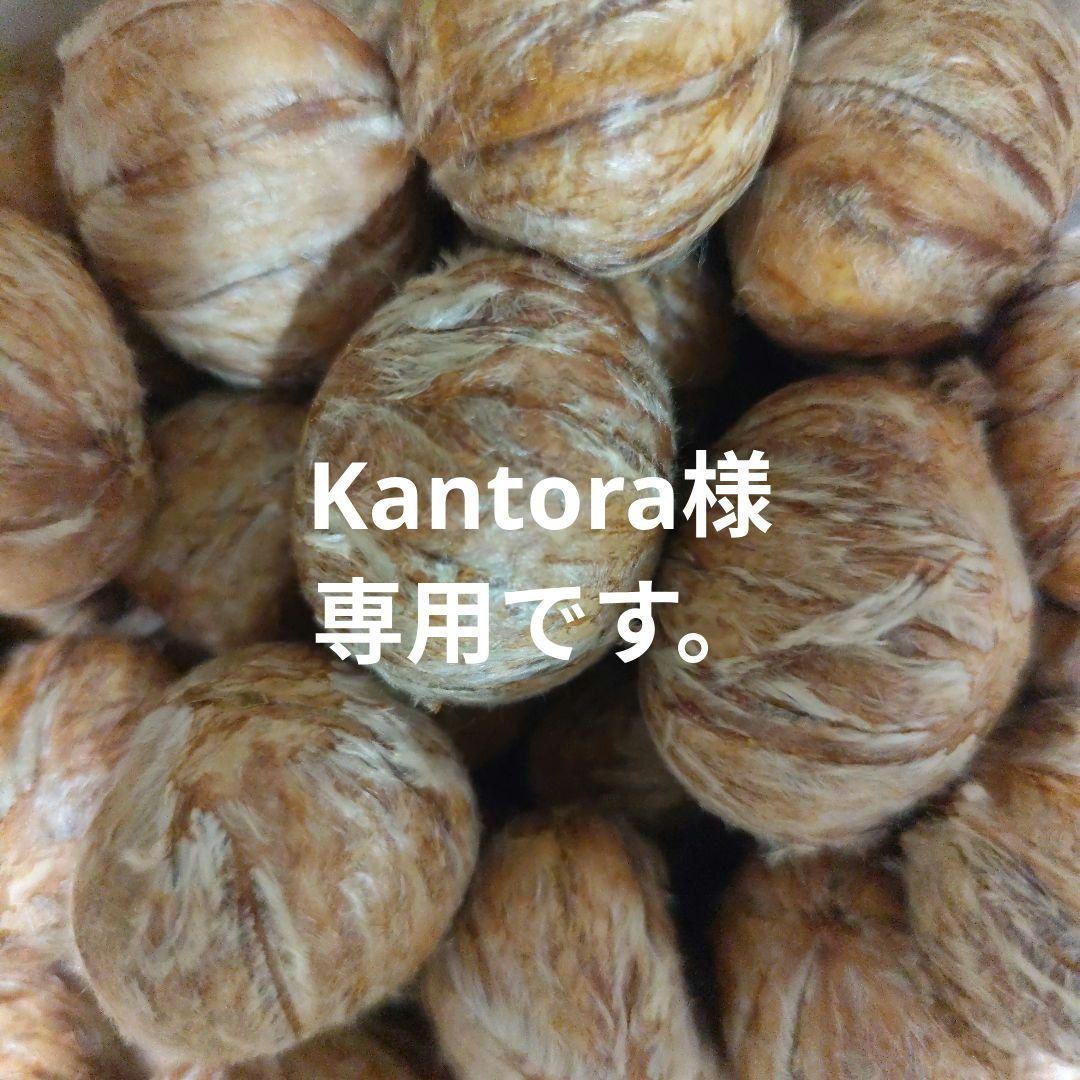 利平栗渋皮　Kantora