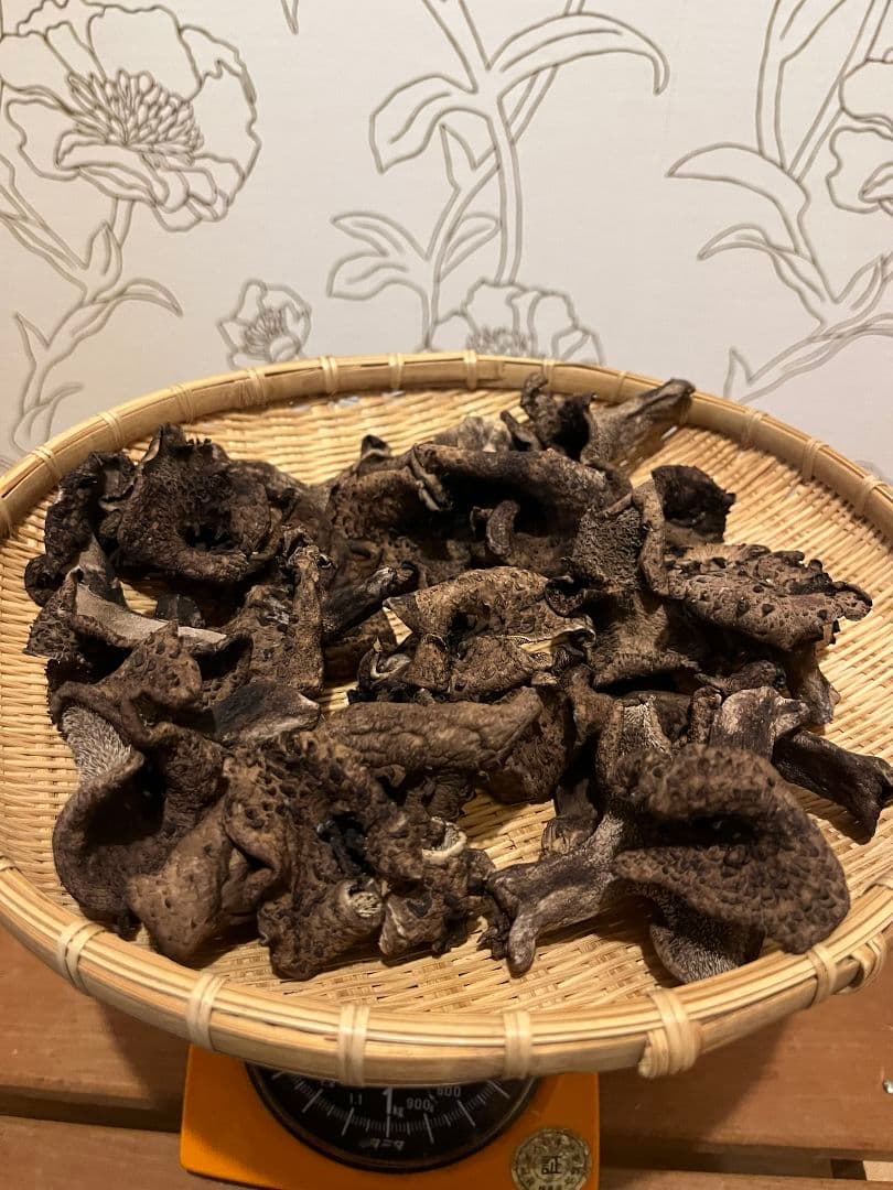 岩手県産 乾燥 香茸 100g 2025年採取 ③