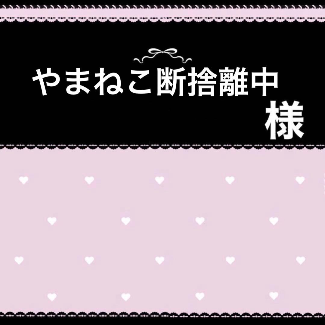 やまねこ断捨離中ページ