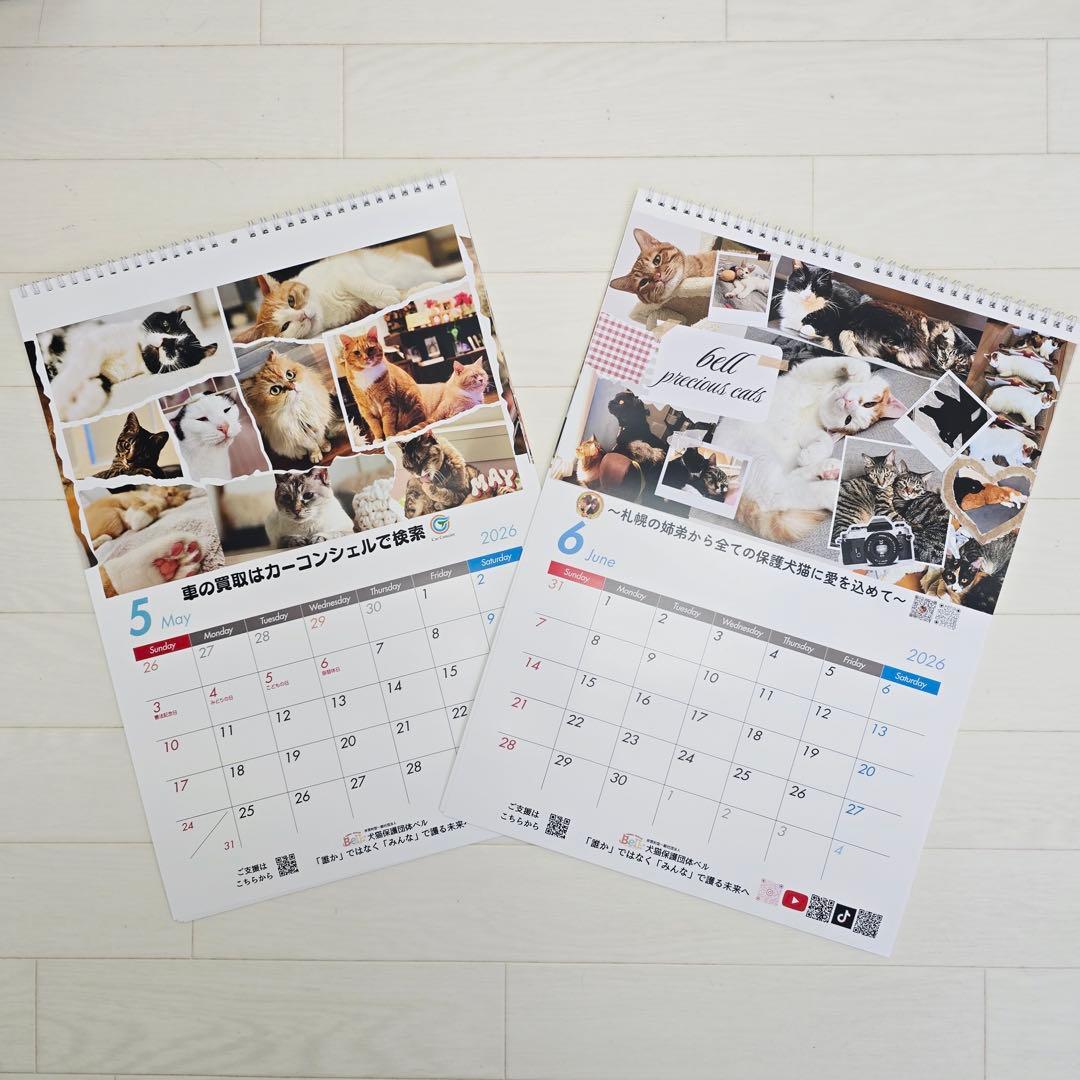 ①《猫》壁掛けチャリティーカレンダー5枚セット