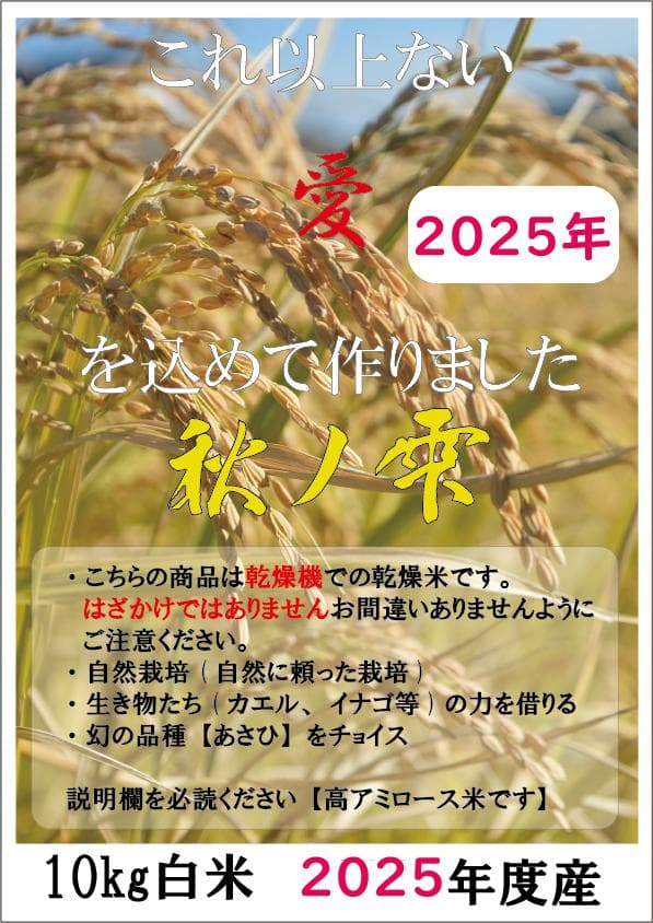 2025年朝日米10kg白米　たけ爺ブランド米 栽培期間中無化学肥料・無農薬栽培