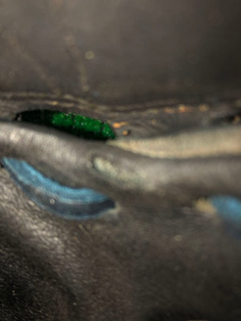 ミズノプロ硬式ピッチャー用