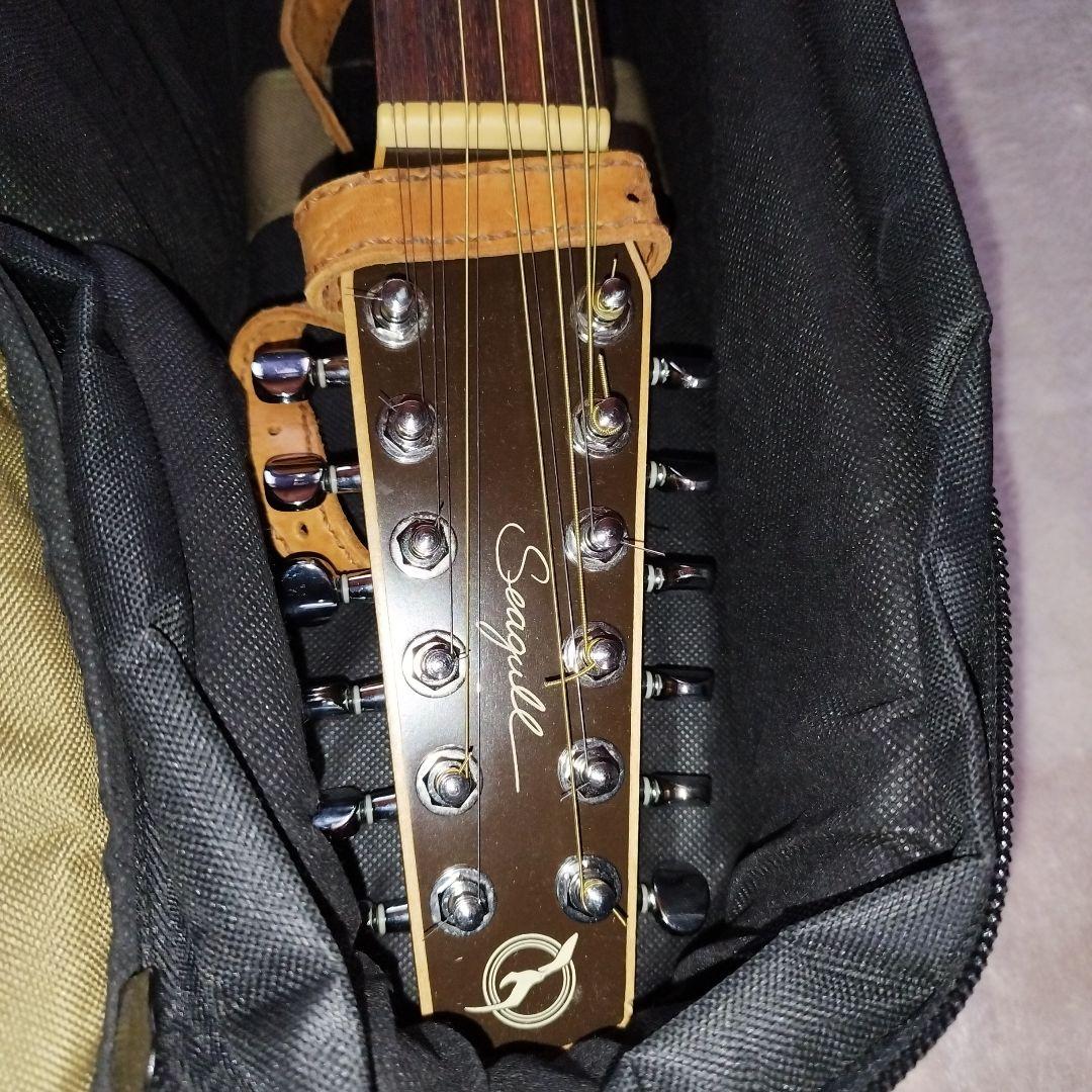 Seagull シーガル Coastline S12 Cedar Guitar