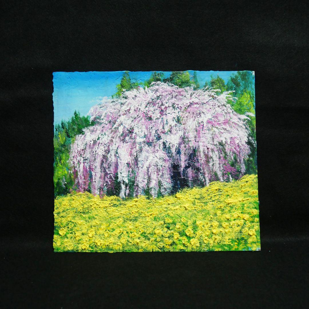 油絵 油彩 油彩画 絵 絵画 【しだれ桜】