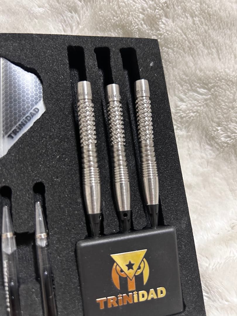 TRiNiDAD PRO Saldivar4 中西永吉