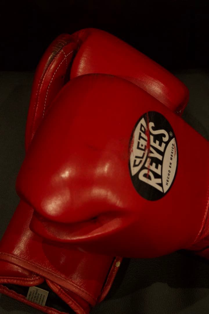 CLETO REYES ボクシンググローブ