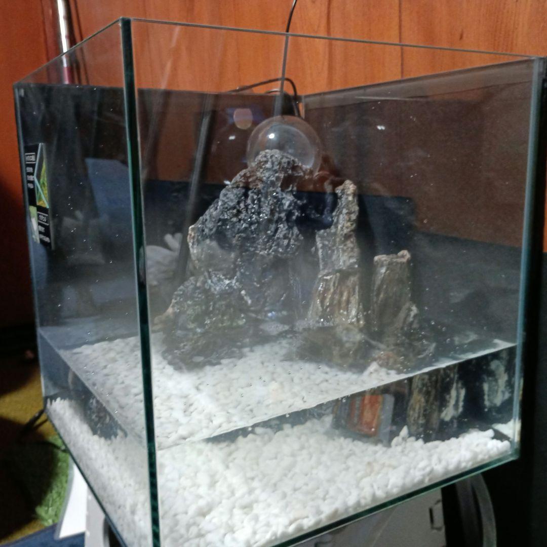 滝の流れるアクアリウム