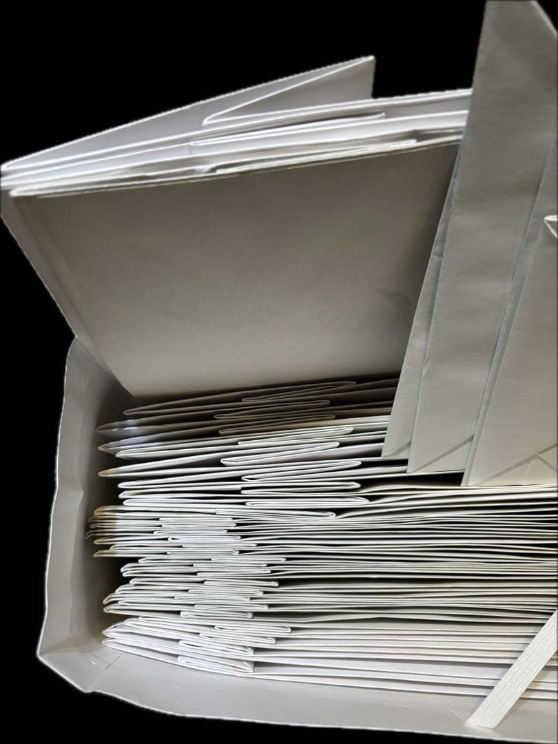 visvim ショップ袋 サイズ色々34枚 set 紙袋 ショッパー