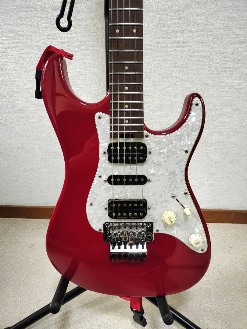 ESP オーダーメードギター　ギグケース付き