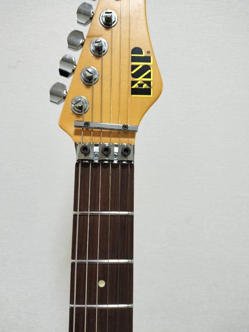 ESP オーダーメードギター　ギグケース付き