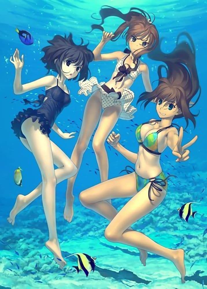 魔法使いの夜 B0 水着 タペストリー　 TYPE-MOON