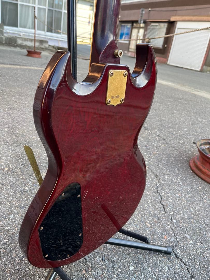 【Lake（レイク） 日本製 ビザールギター 長野ローカルブランド】