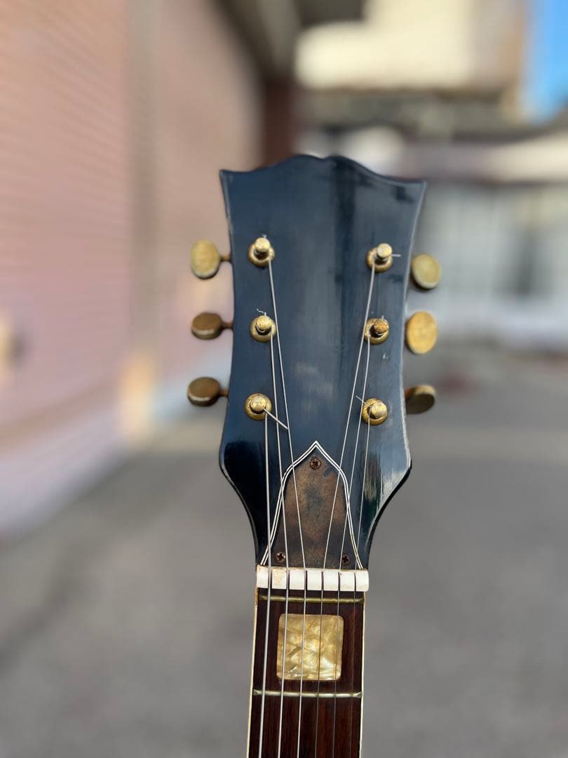 【Lake（レイク） 日本製 ビザールギター 長野ローカルブランド】