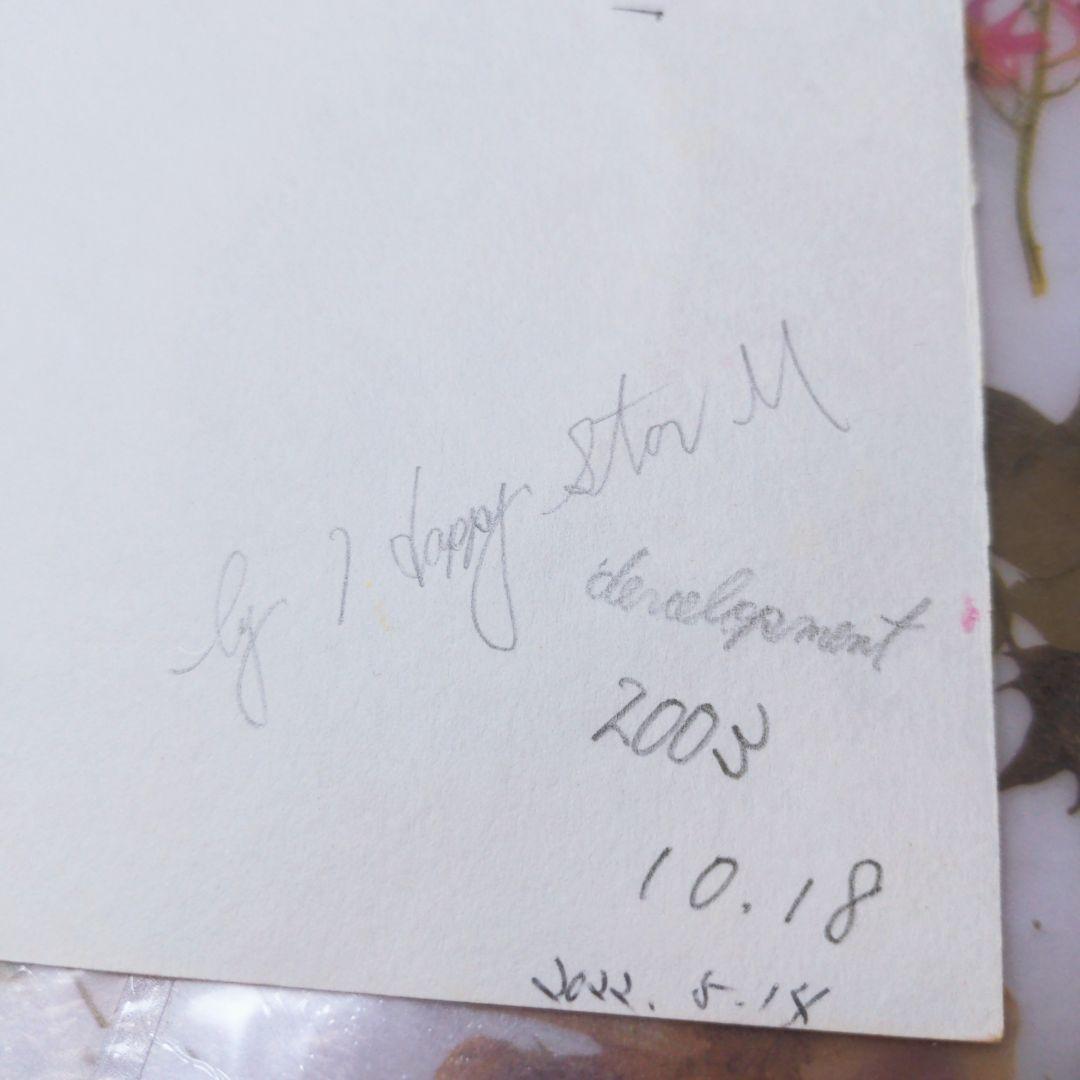 ❤超美人★手書き美人イラスト(220602)★配送無料