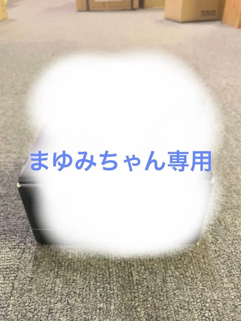 ダイワ 23 SS AIR TW 8.5L