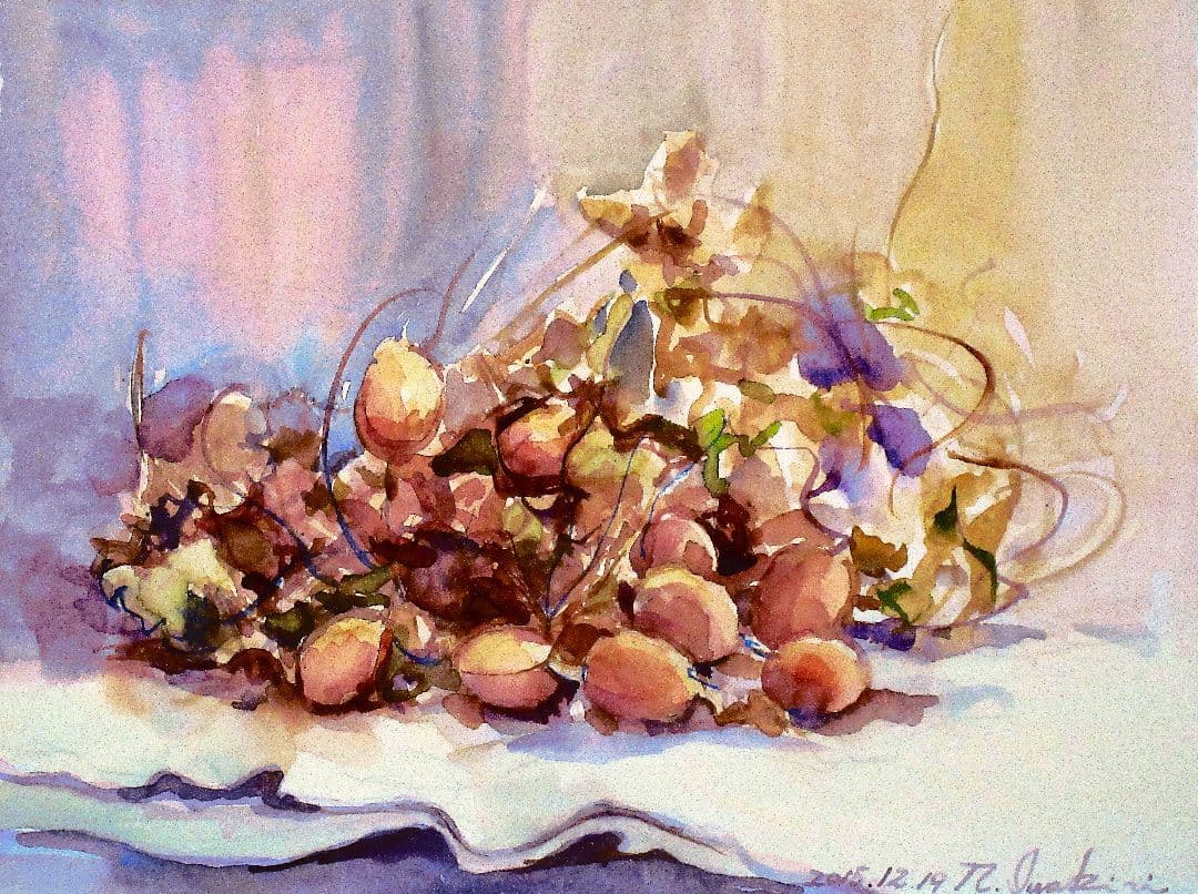 カラスウリ 水彩画 フレーム付き