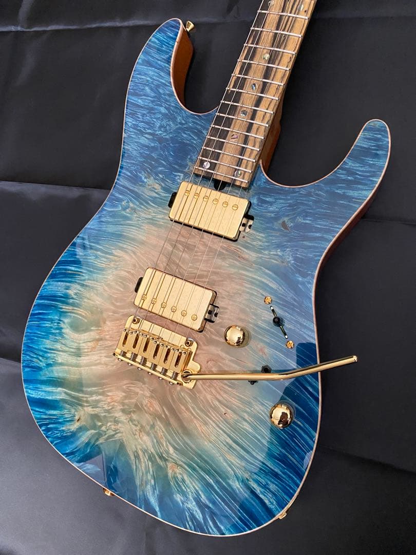 【極美品】T's Guitars DST-Pro24 ～Legend Blue～