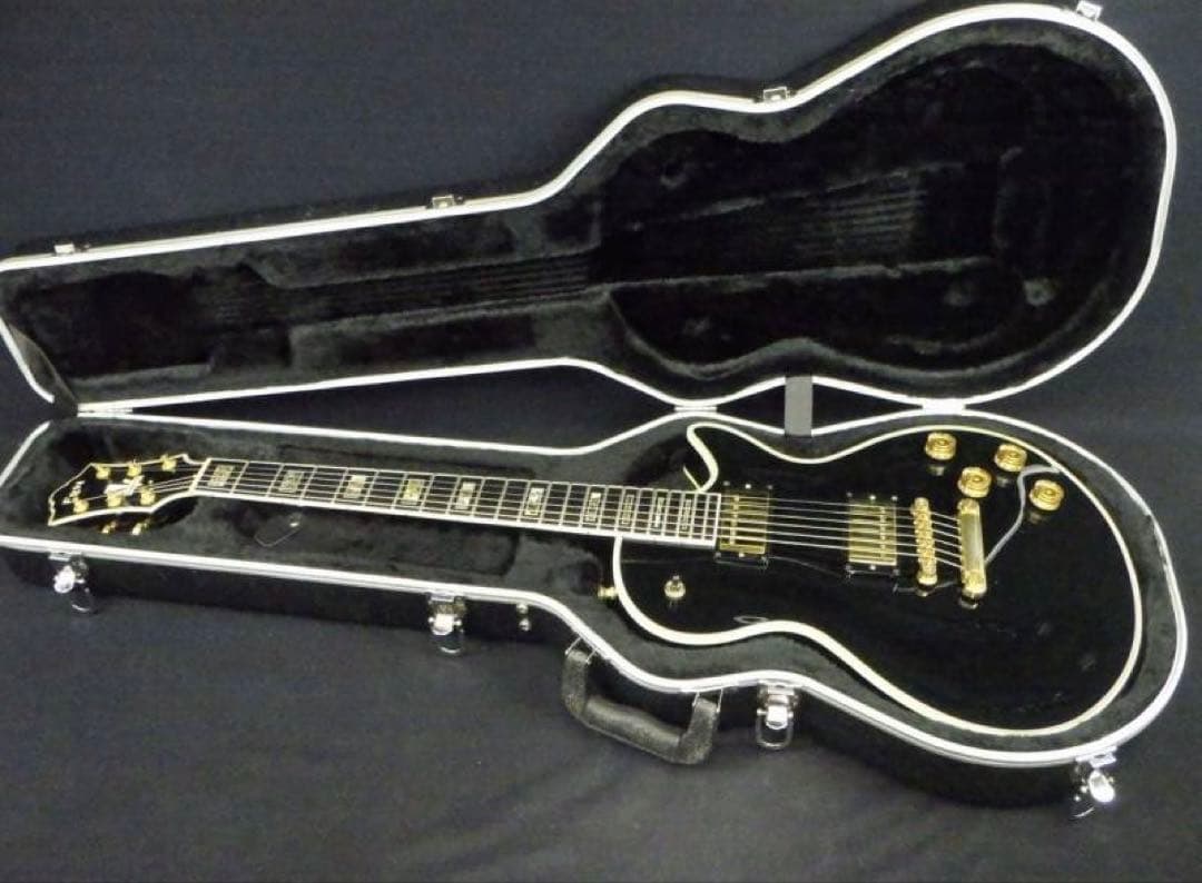 【FgN】フジゲン BAT-20CT/TTハードケース付き