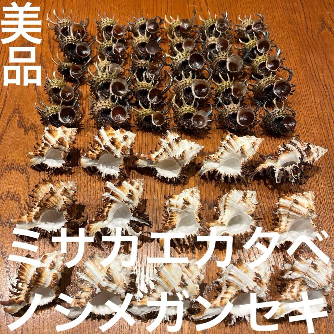 美品　ミサカエカタベ　30点　インド産　ノシメガンセキ　15点　計45点セット