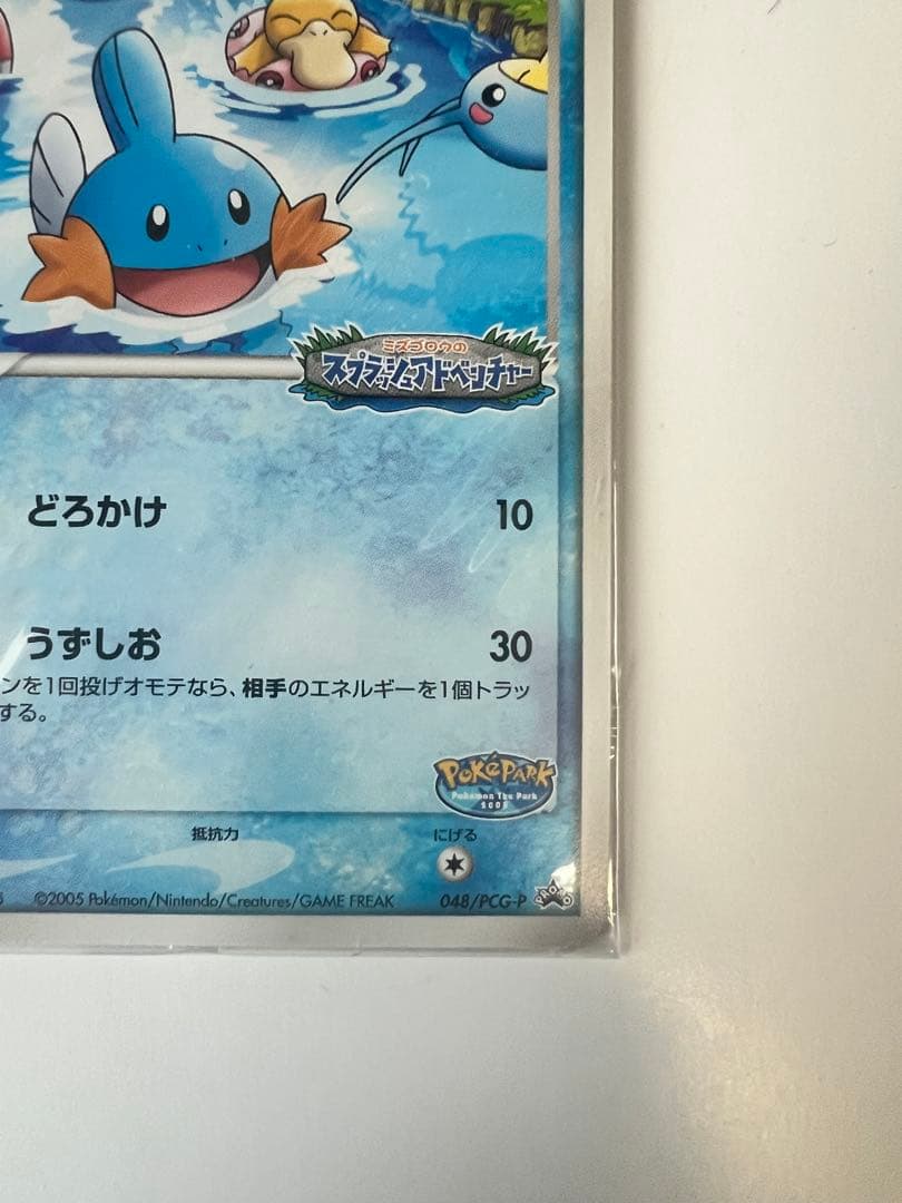 【未開封】ポケパークのミズゴロウ プロモ 048/PCG-P ポケモンカード