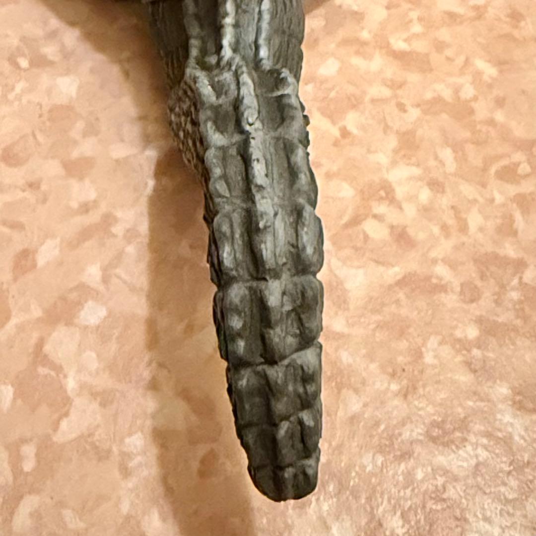 クリエイティブデザイン　羽沢組 Gメモリーズセレクション キンゴジ　1962年