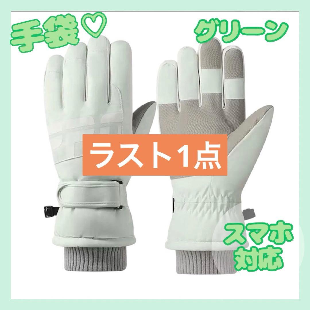グローブ 手袋 スキー スノボ ウィンタースポーツ 防寒 グリーン レディース
