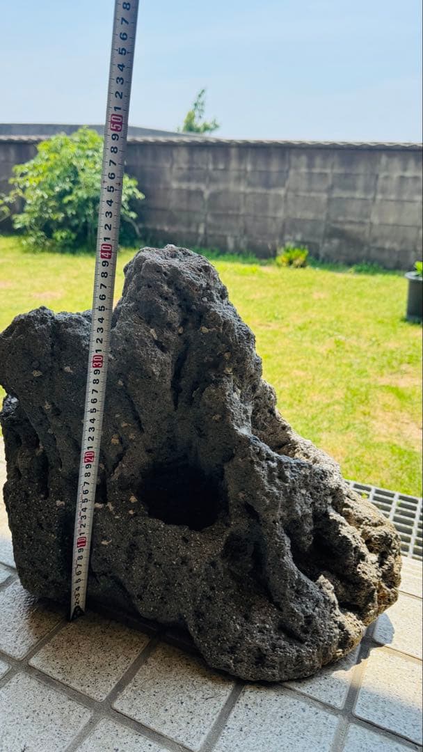 ADA 雲山石 特寸サイズ 2個セット