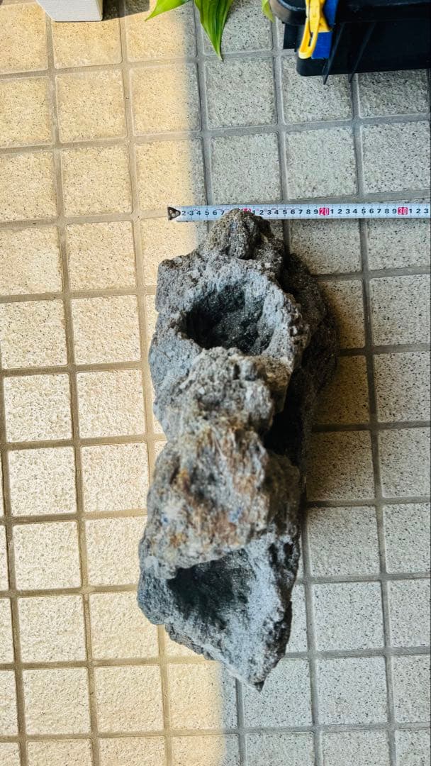 ADA 雲山石 特寸サイズ 2個セット