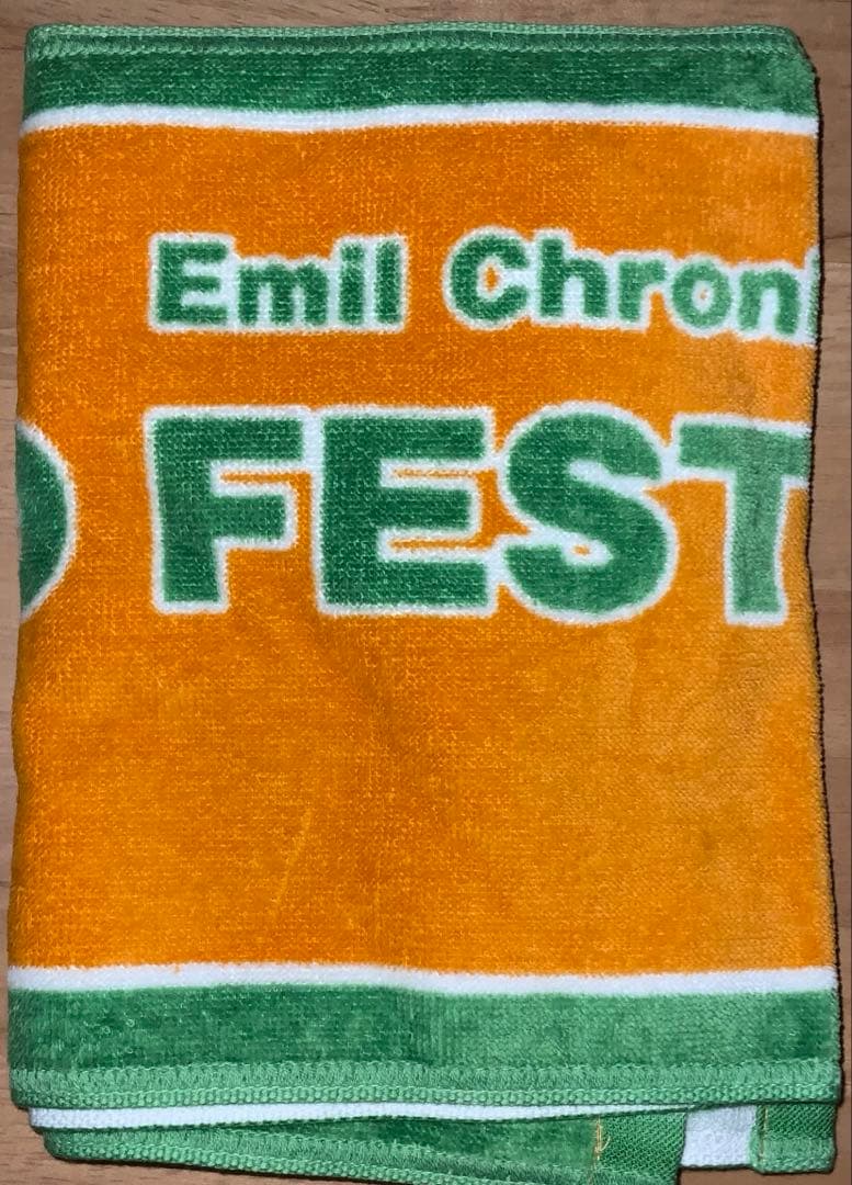 ECO FESTIVAL 2013 タオル