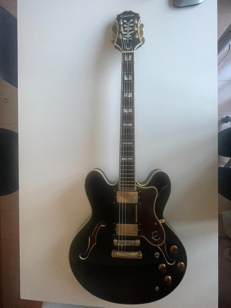 シゲ　Epiphone Sheraton II EB ソフトケース付属